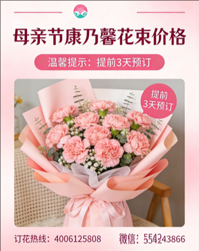 娄底冷水江市花店母亲节康乃馨花束