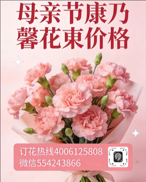 娄底冷水江市花店母亲节康乃馨花束